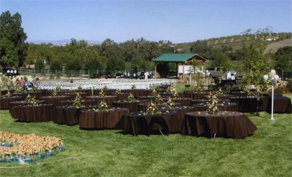The Eden House Vineyard Locanda