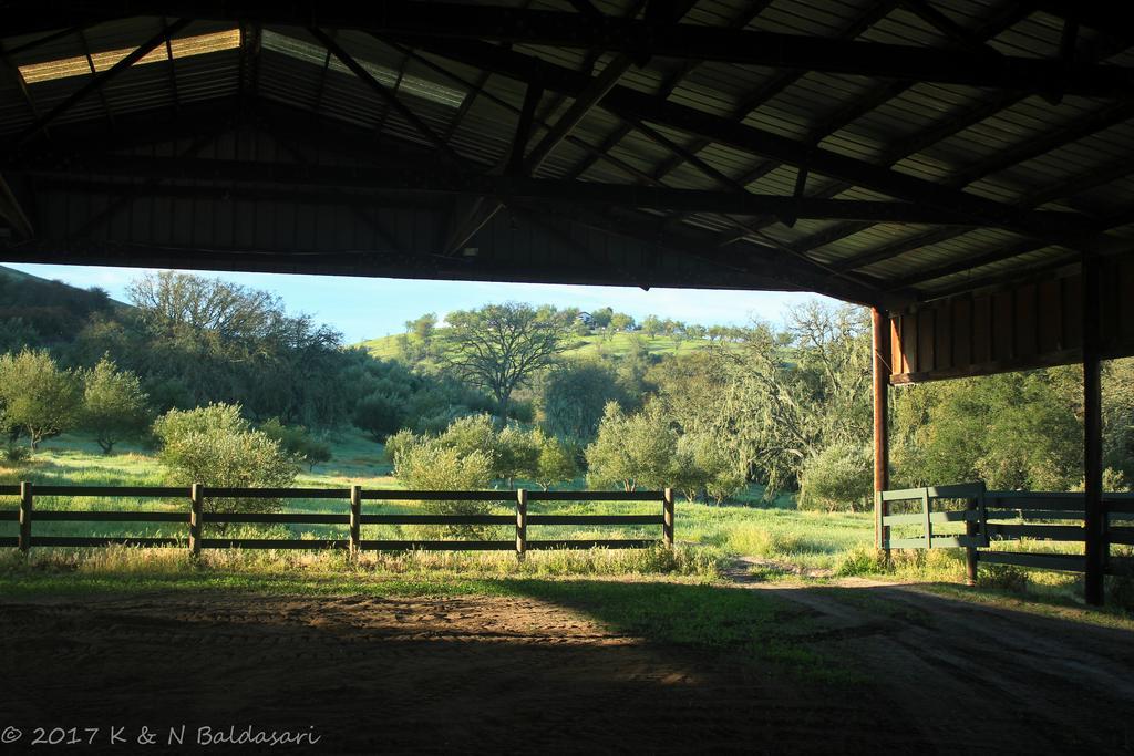The Eden House Vineyard Locanda