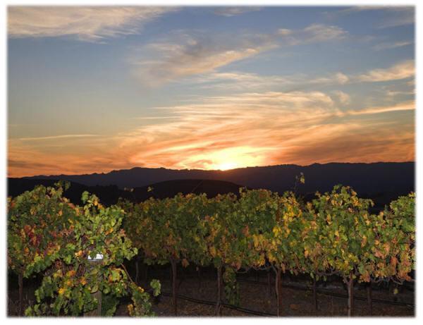 Locanda The Eden House Vineyard