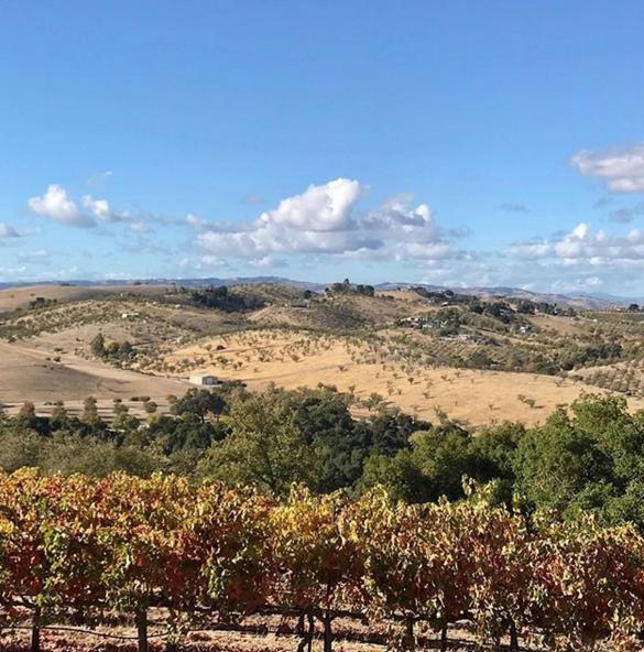 The Eden House Vineyard 3* Templeton